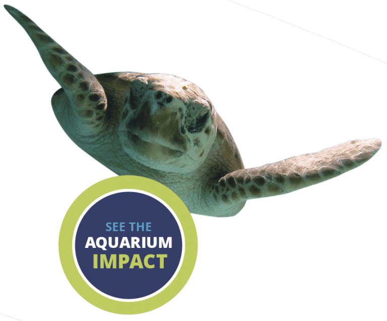 ECZS Legacy Campaign Brevard Zoo & The Aquarium Project